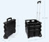 Car Trunk Organizer